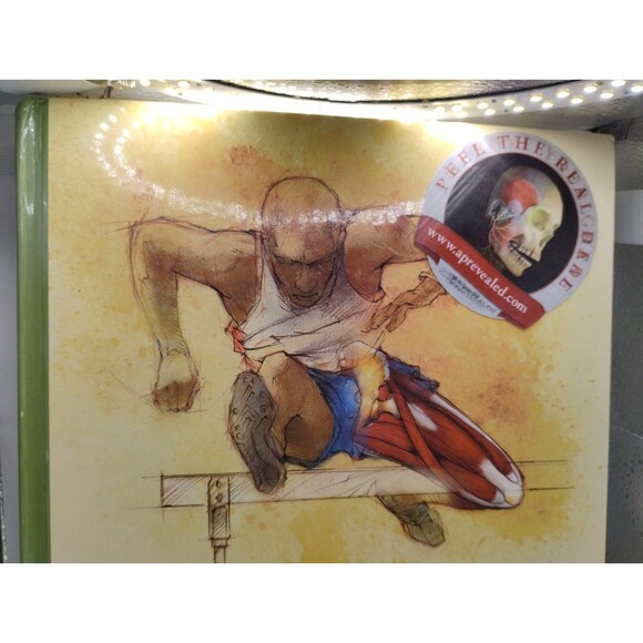 Anatomy & Physiology Eight Edition McGraw Hill 2008 Seely Stephens Tate - Picture 1 of 14